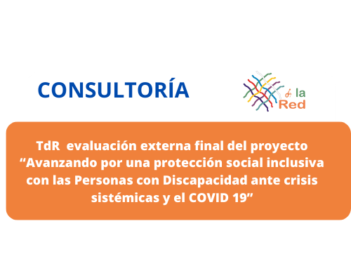 TdR para la evaluación externa final del proyecto “Avanzando por una protección social inclusiva con las Personas con Discapacidad ante crisis sistémicas y el COVID 19”