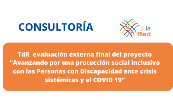 TdR para la evaluación externa final del proyecto “Avanzando por una protección social inclusiva con las Personas con Discapacidad ante crisis sistémicas y el COVID 19”